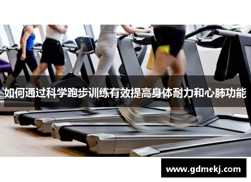 如何通过科学跑步训练有效提高身体耐力和心肺功能