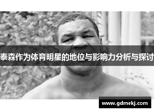 泰森作为体育明星的地位与影响力分析与探讨
