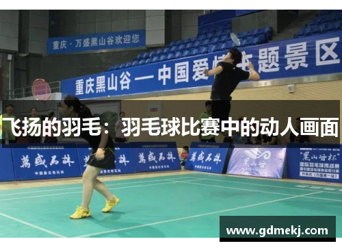 飞扬的羽毛：羽毛球比赛中的动人画面